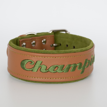 Personalized Leather Dog Collar
