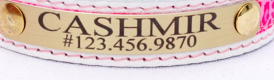 Leather Cat Collar Personalized Lightweight Engraved Plate Lined with Soft Suede Five Eighths Tapers down to Three Eighths Plastic Buckle